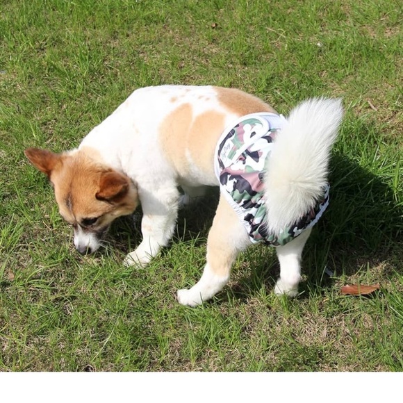 Joy Daog Female Dog Diapers for Small Dogs,3 Pack Reusable Washable Premium - Picture 16 of 16